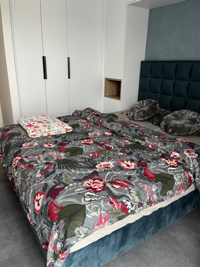 Apartament Bazantow 26 卡托维兹 外观 照片